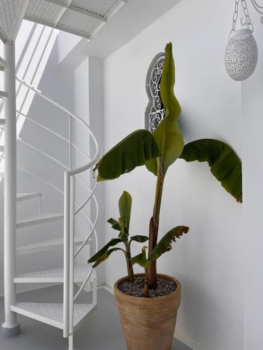 טנג'יר Casa Sira-Charming Home In The Heart Of The Kasbah מראה חיצוני תמונה